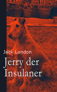 Jerry der Insulaner - Jack  London - E-Book