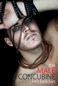 The Male Concubine - Chris Bellows - E-Book