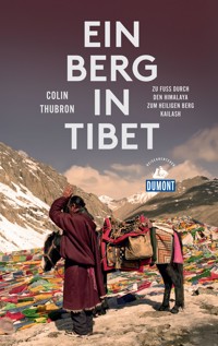 Ein Berg in Tibet - Colin Thubron - E-Book