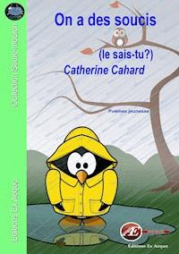 On a des soucis - Catherine Cahard - E-Book