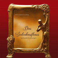 Das Seelenkaufhaus - Mina Sabine Ludwig - Hörbuch