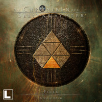 Feuer - Die Chroniken der Seelenwächter, Band 39 (ungekürzt) - Nicole Böhm - Hörbuch