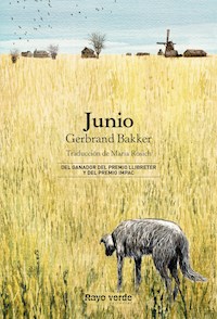 Junio - Gerbrand Bakker - E-Book