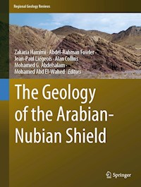 The Geology of the Arabian-Nubian Shield -  - E-Book