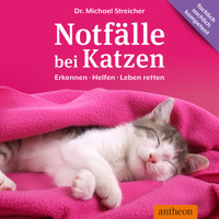 Notfälle bei Katzen - Dr Michael Streicher - Hörbuch