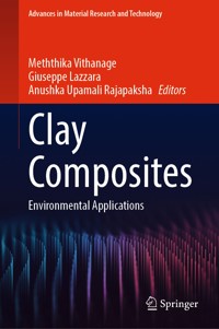 Clay Composites -  - E-Book