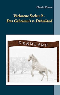 Verlorene Seelen 9 - Das Geheimnis von Drömland - Claudia Choate - E-Book