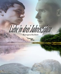 Liebe in drei Jahreszeiten - Chrissy Burg - E-Book