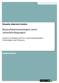 Reproduktionsstrategien unter Armutsbedingungen - Klaudia Gabriele  Geisler - E-Book