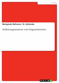 Selbstorganisation von Organisationen - Benjamin Behrens - E-Book