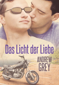 Das Licht der Liebe - Andrew Grey - E-Book