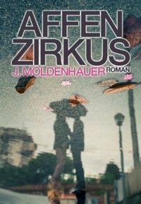 Affenzirkus - J. Moldenhauer - E-Book