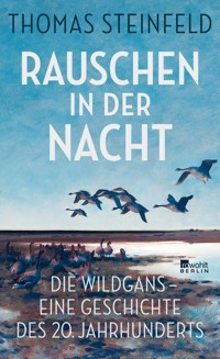Rauschen in der Nacht - Thomas Steinfeld - E-Book