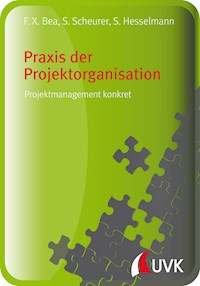 Praxis der Projektorganisation - Franz Xaver Bea - E-Book