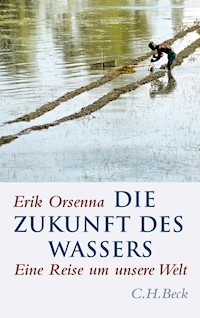 Die Zukunft des Wassers - Erik Orsenna - E-Book