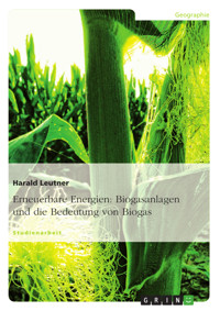 Erneuerbare Energien: Biogasanlagen und die Bedeutung von Biogas - Harald  Leutner - E-Book