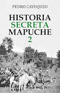 Historia secreta mapuche 2 - Pedro Cayuqueo - E-Book