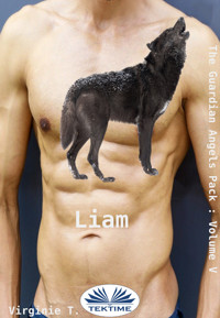 Liam - Virginie T. - E-Book