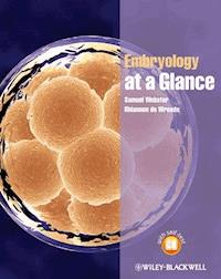 Embryology at a Glance - Samuel Webster - E-Book