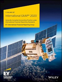 International GAAP 2020 -  - E-Book