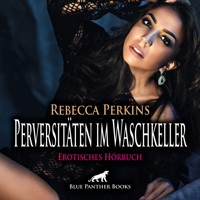 Perversitäten im Waschkeller / Erotik Audio Story / Erotisches Hörbuch - Rebecca Perkins - Hörbuch