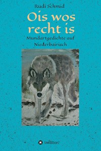 Ois wos recht is - Rudi Schmid - E-Book