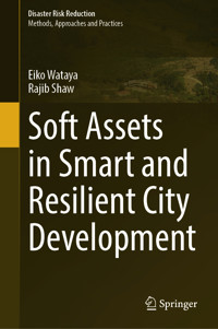 Soft Assets in Smart and Resilient City Development - Eiko Wataya - E-Book
