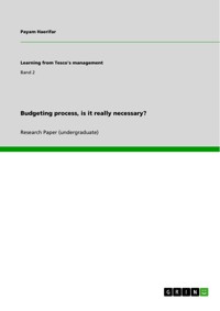 Budgeting process, is it really necessary? - Payam Haerifar - E-Book