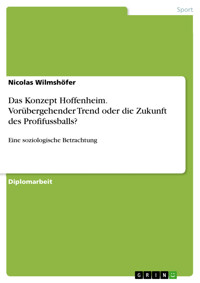 Das Konzept Hoffenheim. Vorübergehender Trend oder die Zukunft des Profifussballs? - Nicolas Wilmshöfer - E-Book