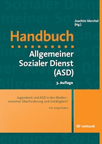 Jugendamt und ASD in den Medien - zwischen Überforderung und Untätigkeit? - Sonja Enders - E-Book