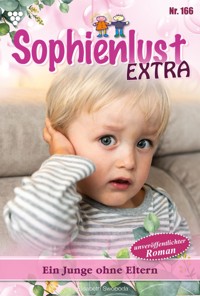 Ein Junge ohne Eltern - Gert Rothberg - E-Book