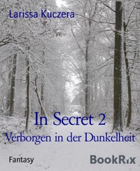 In Secret 2 - Larissa Kuczera - E-Book