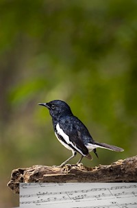Ouvertüre zum Abschied - Wolfgang Hovestädt - E-Book