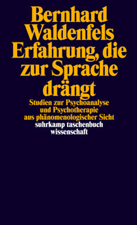 Erfahrung, die zur Sprache drängt - Bernhard Waldenfels - E-Book