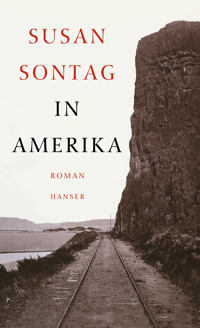 In Amerika - Susan Sontag - E-Book