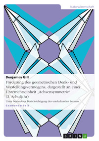 Förderung des geometrischen Denk- und Vorstellungsvermögens, dargestellt an einer Unterrichtseinheit "Achsensymmetrie" (2. Schuljahr) - Benjamin Gill - E-Book