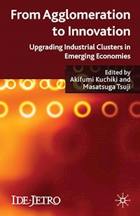 From Agglomeration to Innovation -  - E-Book