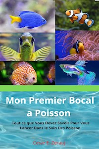 Mon Premier Bocal à Poissons - Cesar E. Zerauj - E-Book