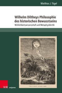 Wilhelm Diltheys Philosophie des historischen Bewusstseins - Matthias J. Tögel - E-Book