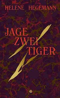 Jage zwei Tiger - Helene Hegemann - E-Book