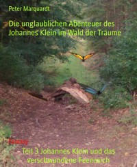 Teil 3 Johannes Klein und das verschwundene Feenreich - Peter Marquardt - E-Book