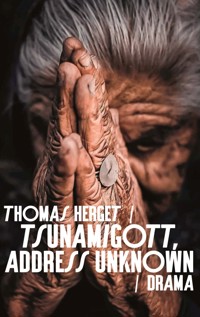 Tsunamigott, address unknown - Thomas Herget - E-Book