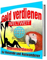 Geld verdienen weltweit - Rüdiger Küttner-Kühn - E-Book