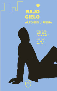 Bajo cielo - Alfonso J. Ussía - E-Book