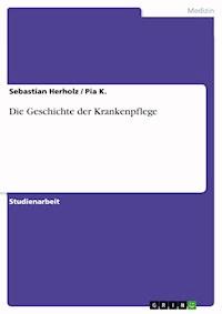 Die Geschichte der Krankenpflege - Sebastian Herholz - E-Book