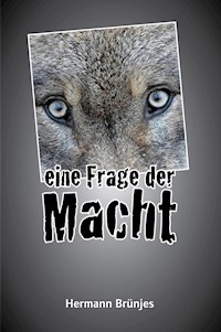 Eine Frage der Macht - Hermann Brünjes - E-Book