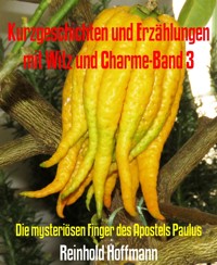 Kurzgeschichten und Erzählungen mit Witz und Charme-Band 3 - Reinhold Hoffmann - E-Book
