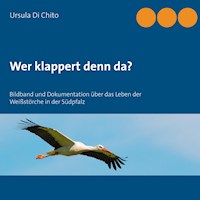 Wer klappert denn da? - Ursula Di Chito - E-Book