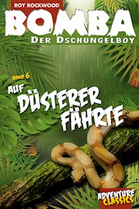 Bomba auf düsterer Fährte - Roy Rockwood - E-Book