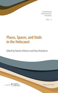 Places, Spaces, and Voids in the Holocaust - - E-Book